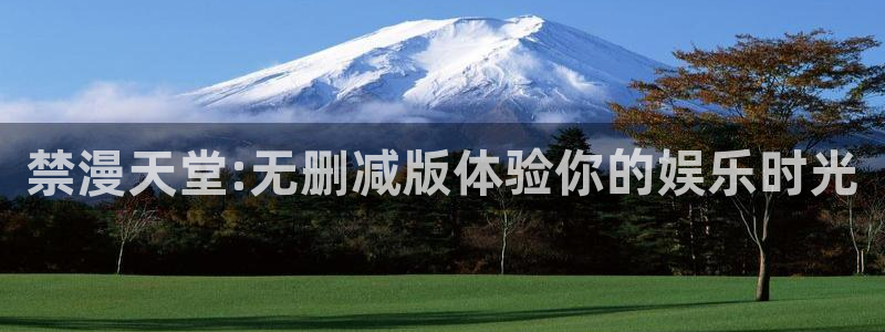 奇漫屋网站入口：禁漫天堂:无删减版体验你的娱乐时光