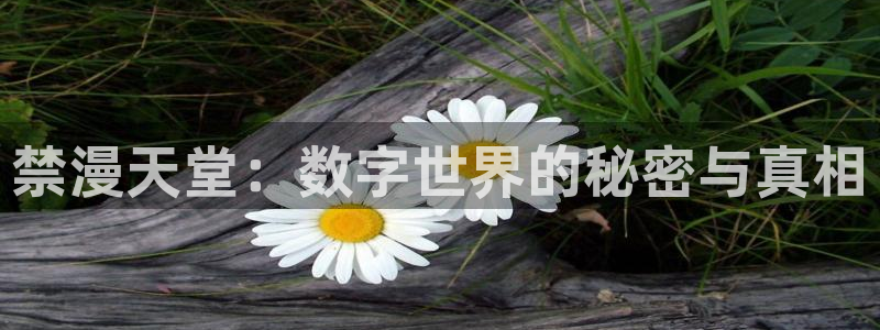 omofun下载官方正版网站：禁漫天堂：数字世界的秘密与真相