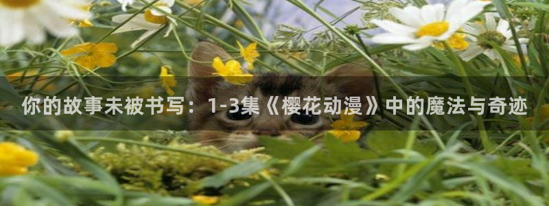 omofun最新版：你的故事未被书写：1-3集《樱花动漫》中的魔法与奇迹
