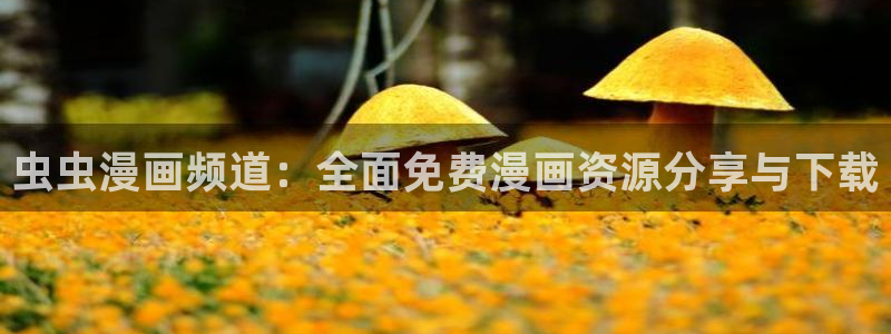 www.omofun