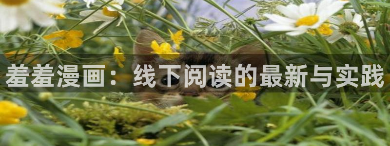 omofun最新纯净版