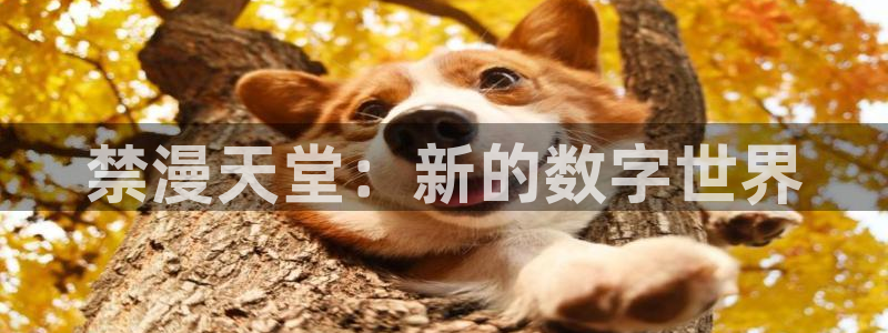 下载omofun