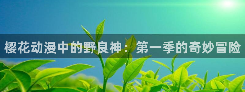 动漫共和国omofun下载：樱花动漫中的野良神：第一季的奇妙冒险