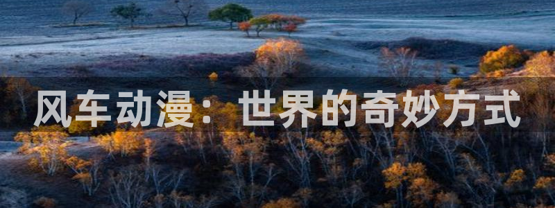 omofun纯净版下载：风车动漫：世界的奇妙方式