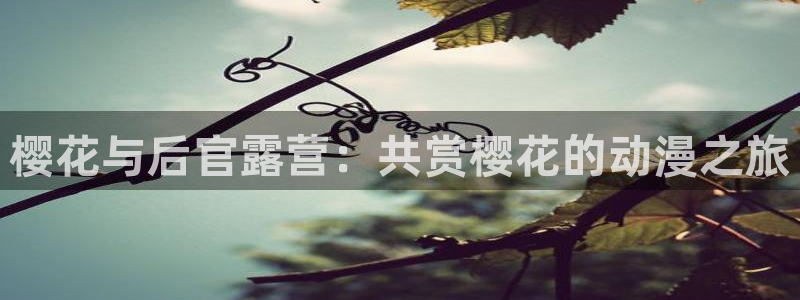 奇漫屋进入：樱花与后官露营：共赏樱花的动漫之旅
