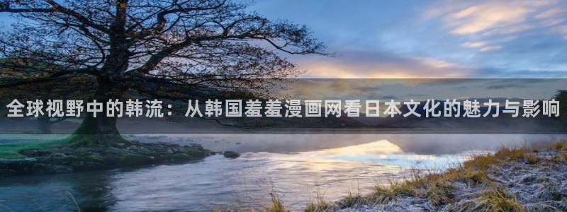 omofun动漫共和国：全球视野中的韩流：从韩国羞羞漫画网看日本文化的魅力与影响