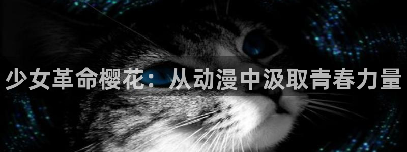 omofun动漫在线观看看：少女革命樱花：从动漫中汲取青春力量