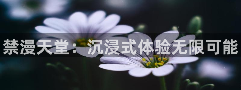 omofun.：禁漫天堂：沉浸式体验无限可能